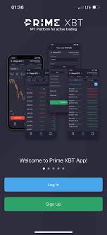 Understanding the Dynamics of PrimeXBT Spot Trading Understanding the Dynamics of PrimeXBT Spot Trading